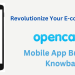 Revolutionize Your E-commerce Presence OpenCart Mobile App Builder by Knowband