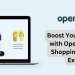 Boost Your Online Sales with OpenCart Google Shopping Integration Extension